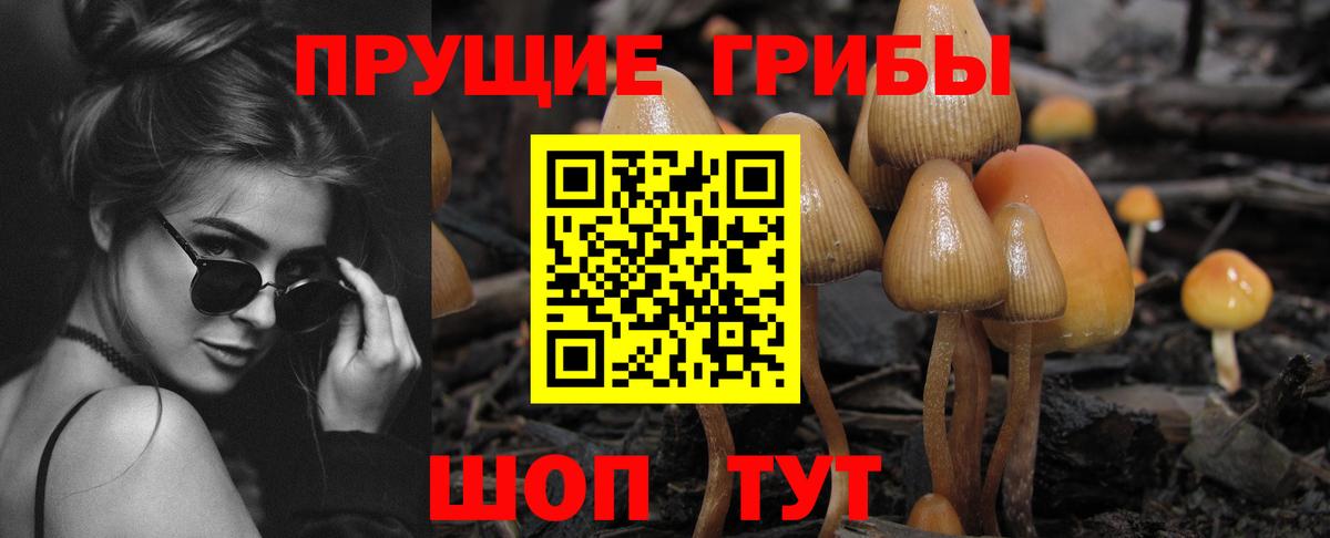 Галлюциногенные грибы прущие грибы Орехово-Зуево